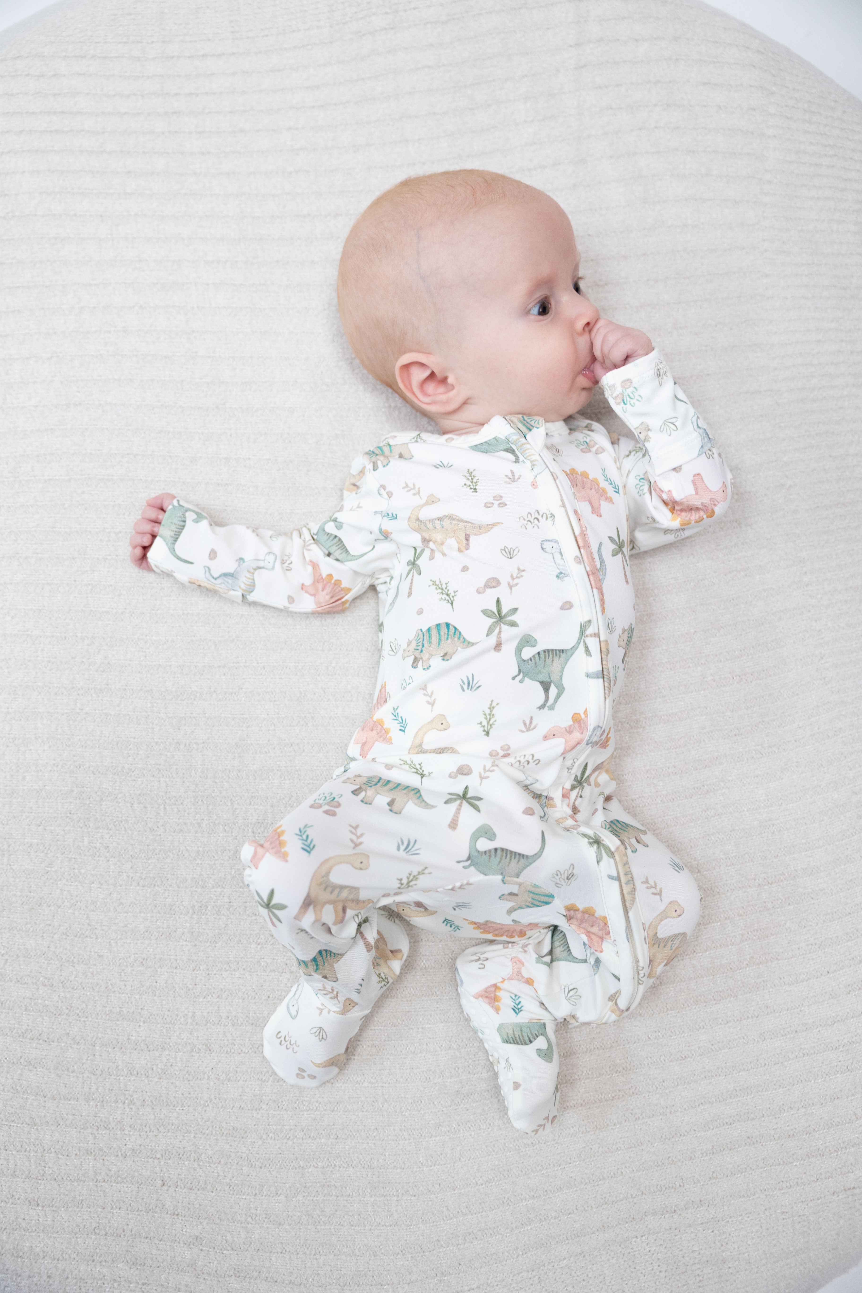 Sweet Baby Dinos - 2 Way Zipper Footie