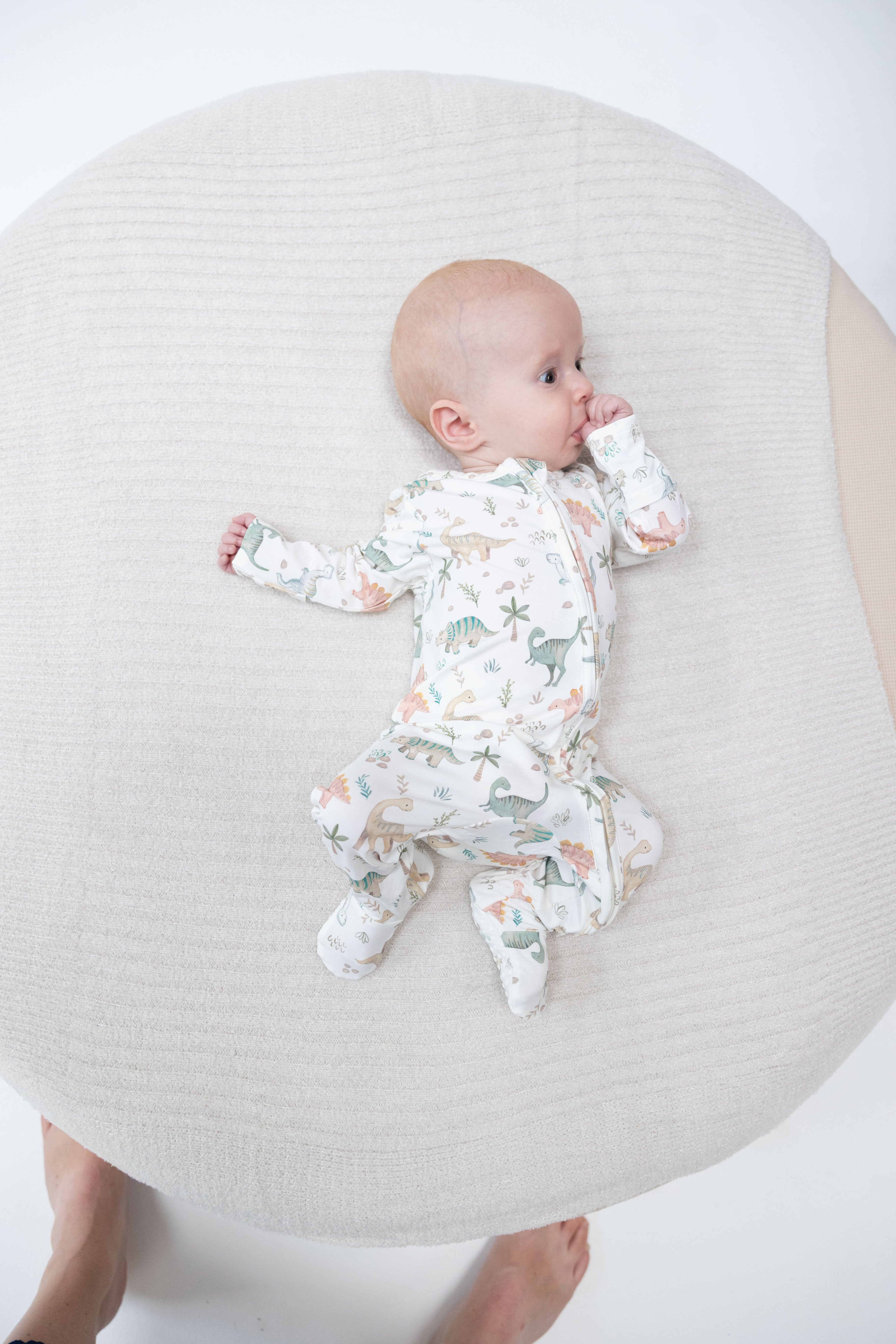 Sweet Baby Dinos - 2 Way Zipper Footie