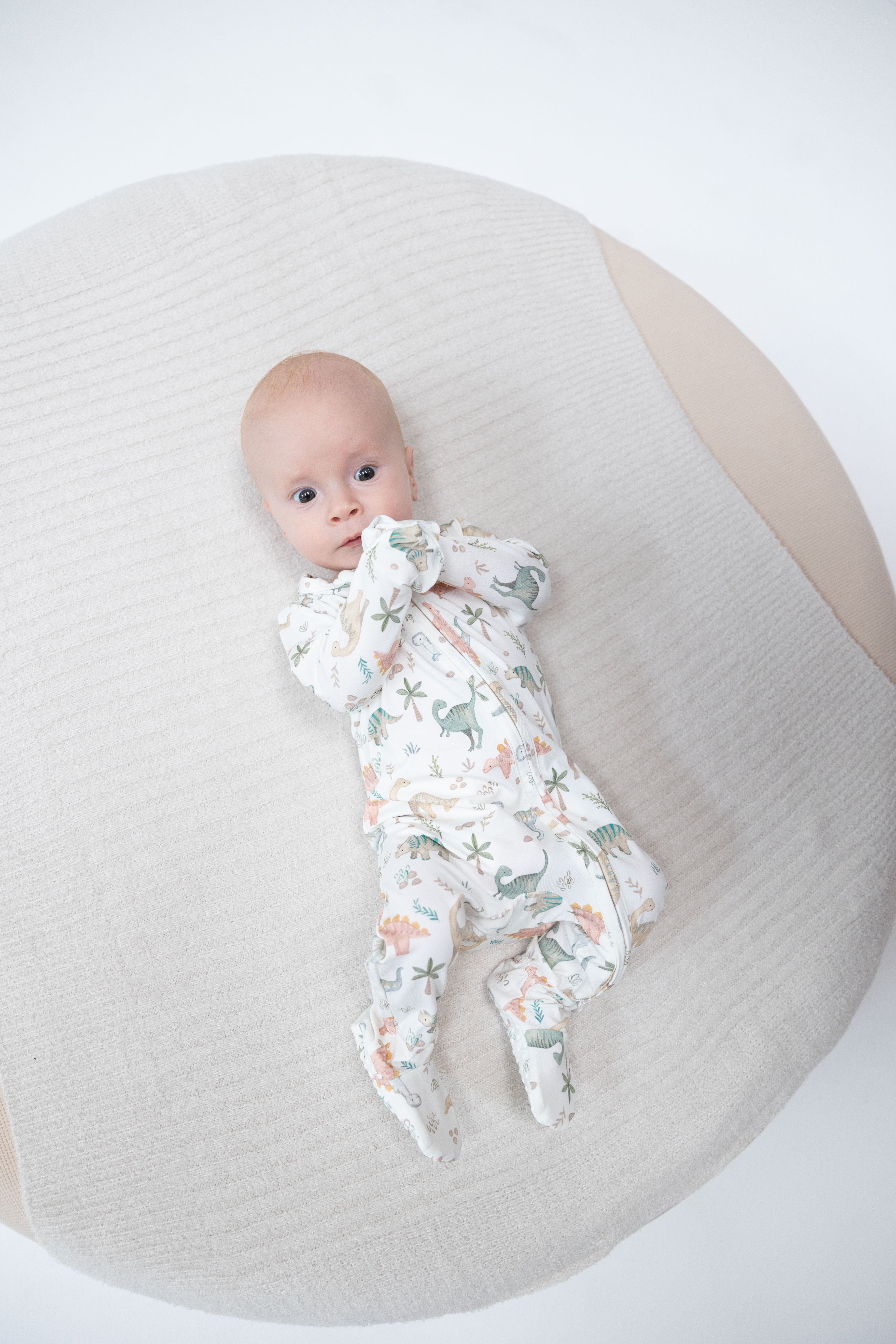 Sweet Baby Dinos - 2 Way Zipper Footie