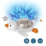 Tranquil Penguin | Cloud b