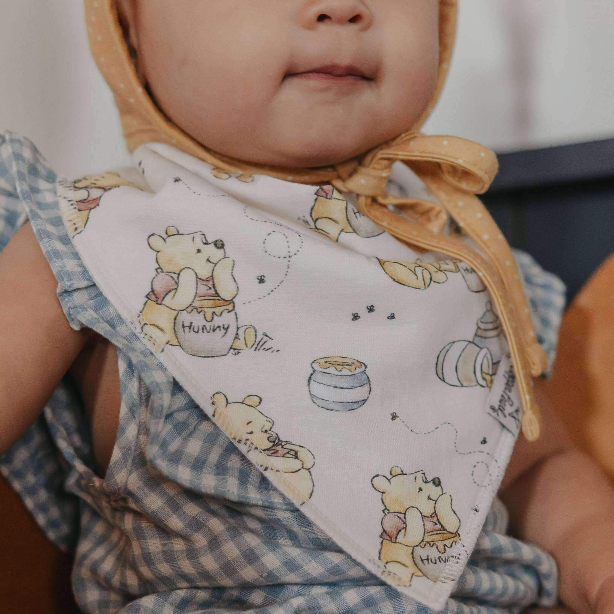 Hundred Acre Wood Bandana Bib Set (4-Pack)
