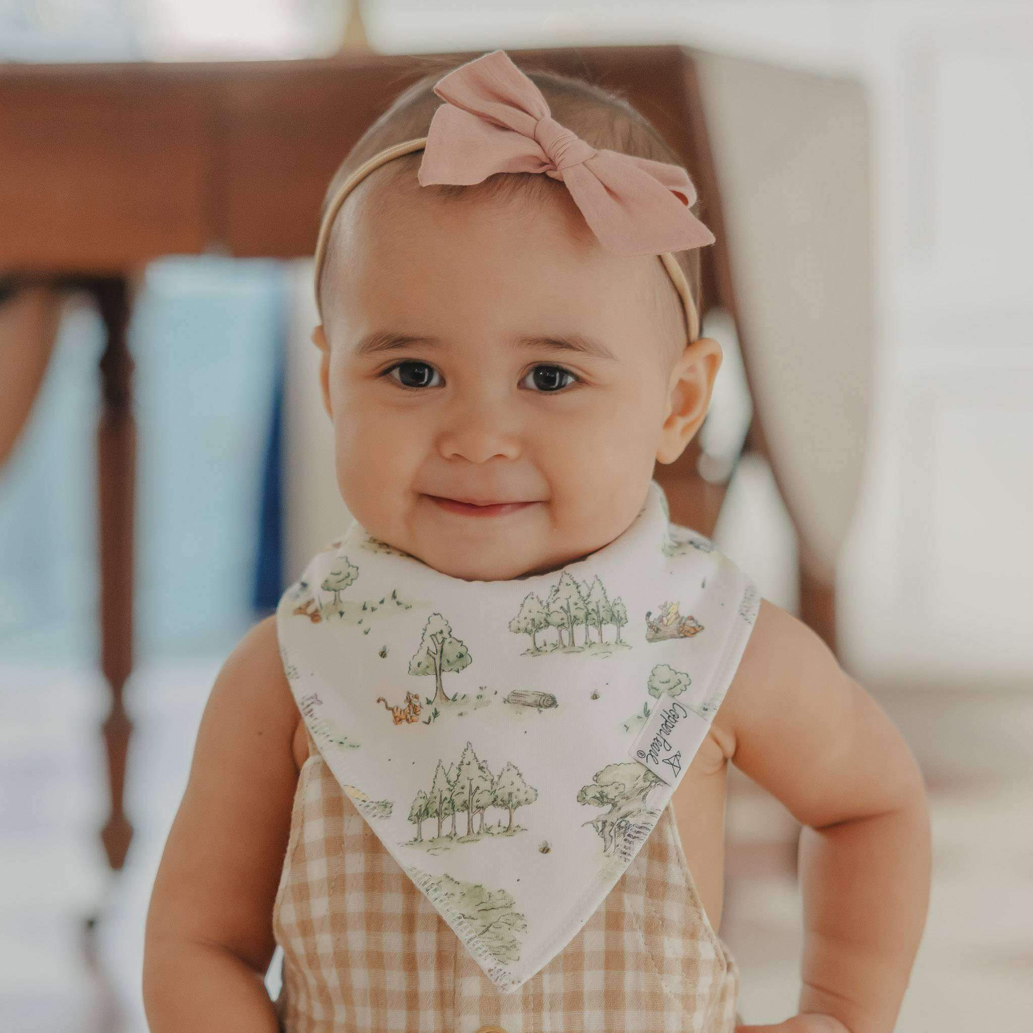 Hundred Acre Wood Bandana Bib Set (4-Pack)