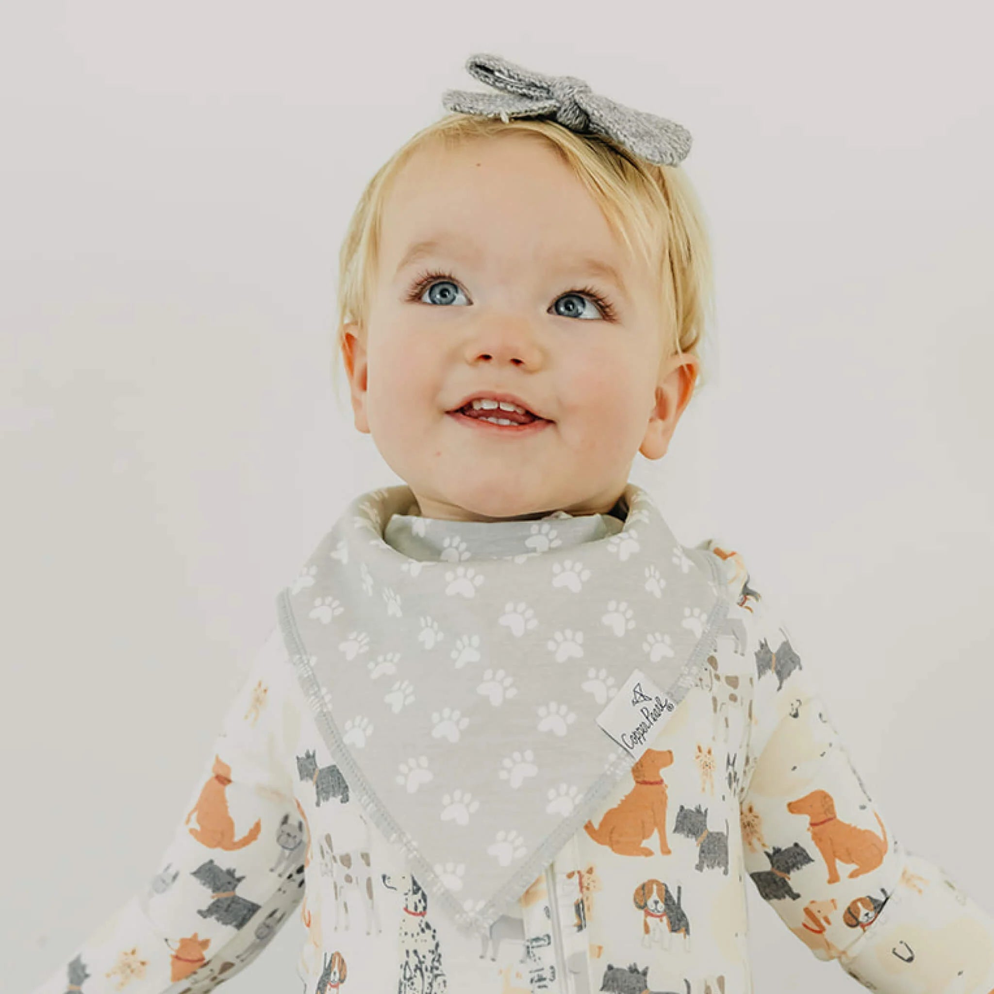 Rufus Bandana Bib Set (4-Pack)