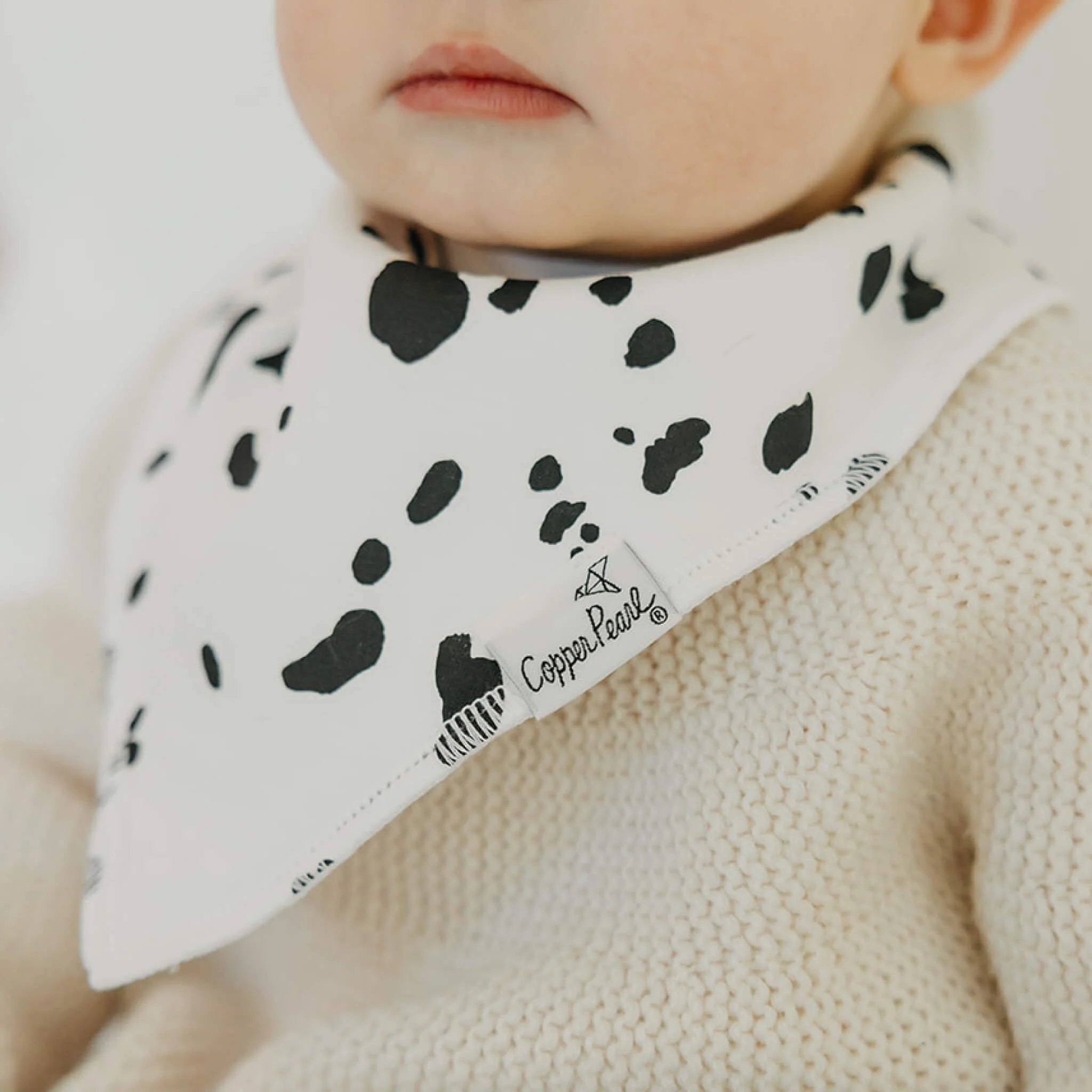 Rufus Bandana Bib Set (4-Pack)