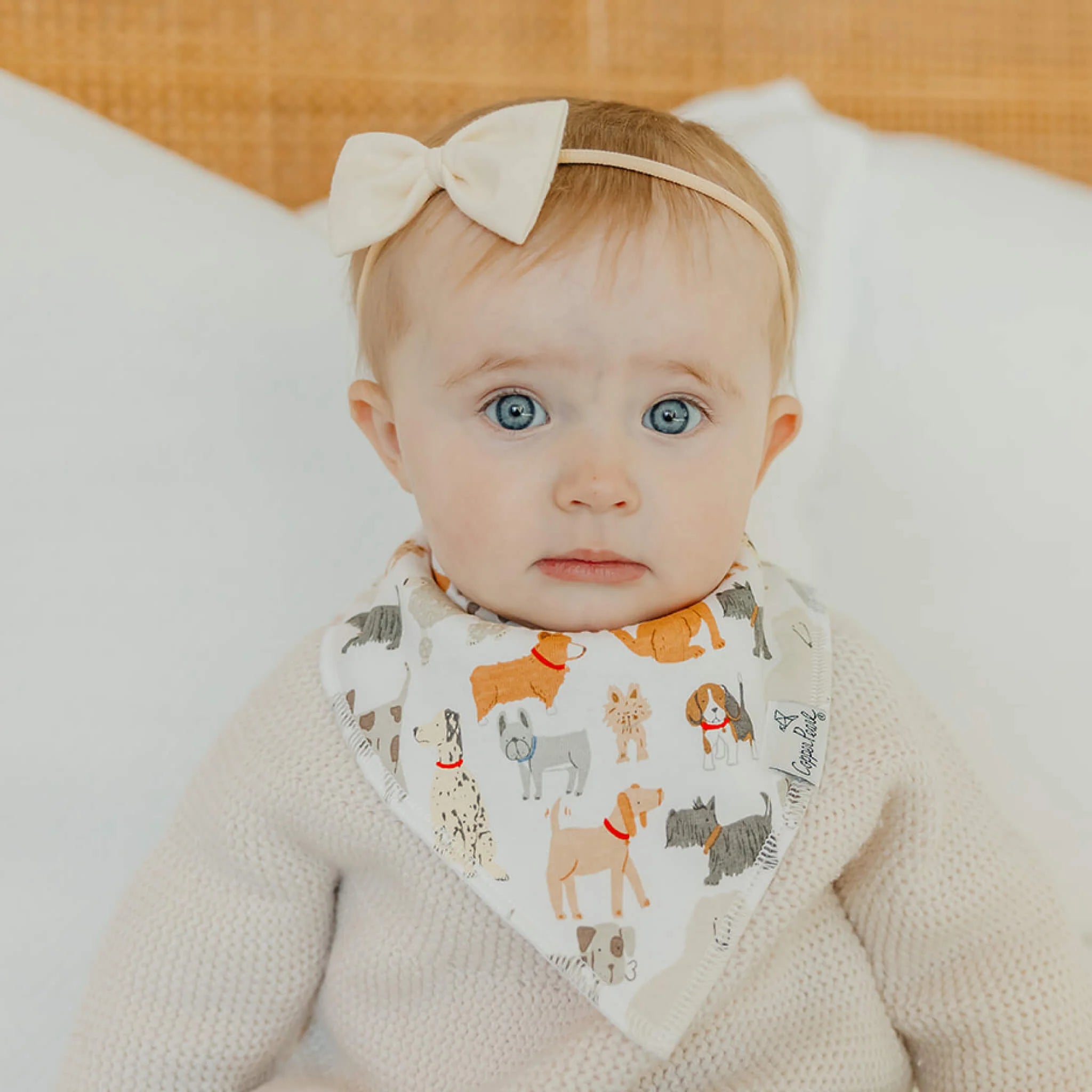 Rufus Bandana Bib Set (4-Pack)