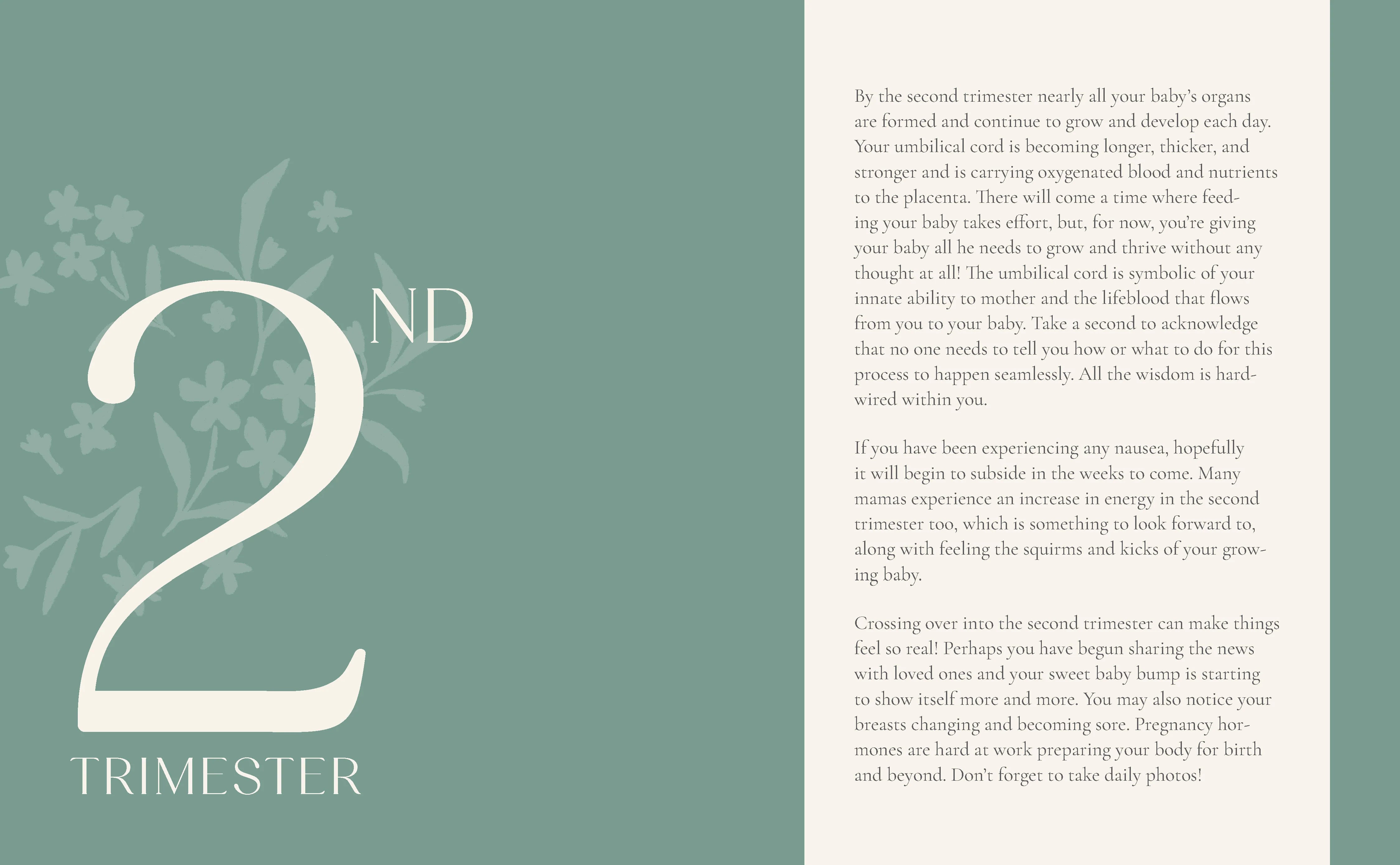 Growing Together Pregnancy Journal