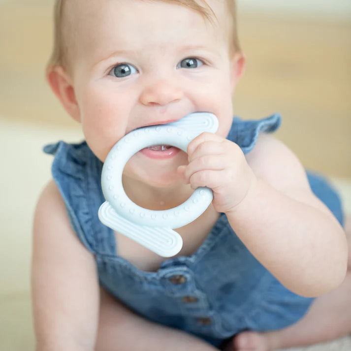 Dog Rattle Buddy