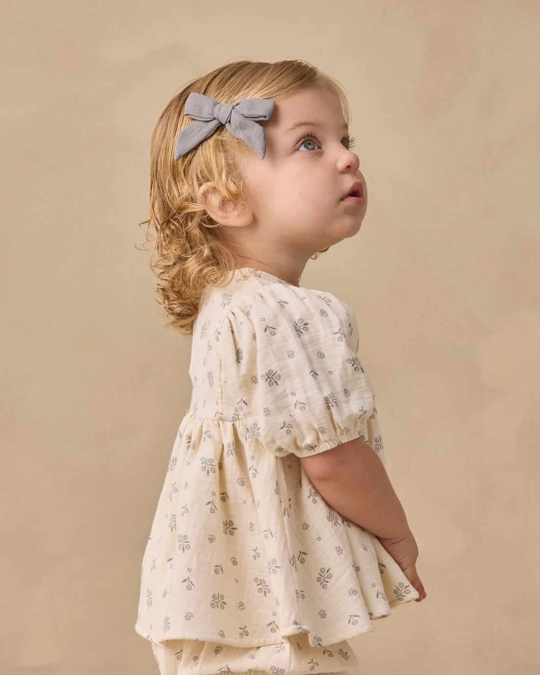 Francy Set || Winter Berry