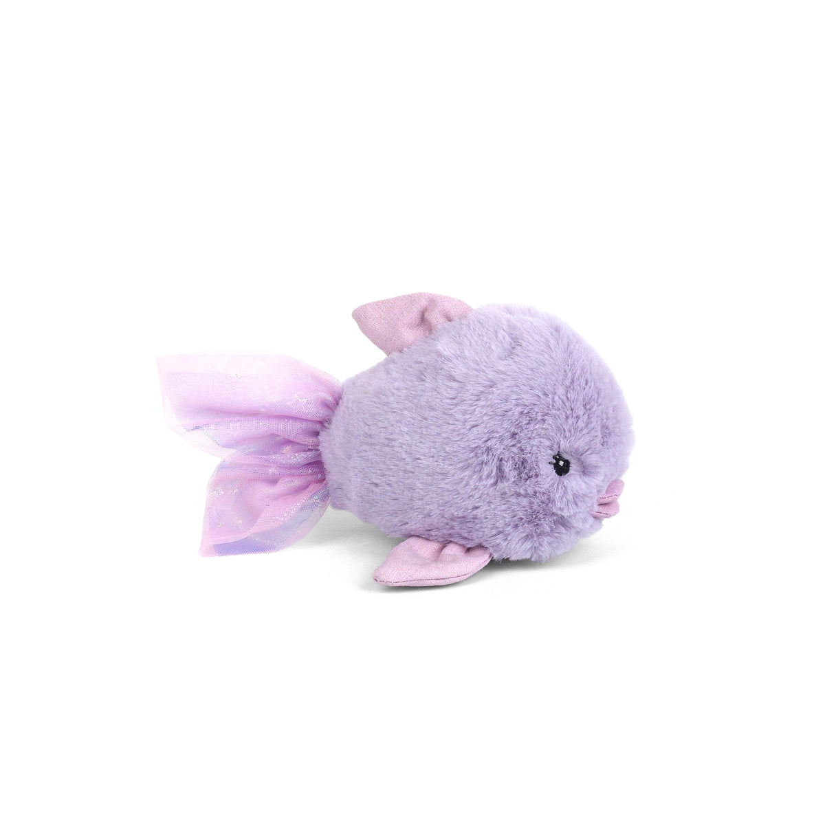 Angel Fish - Purple