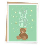 Apartment 2 Cards Card Teddy Bear New Grandparent Card