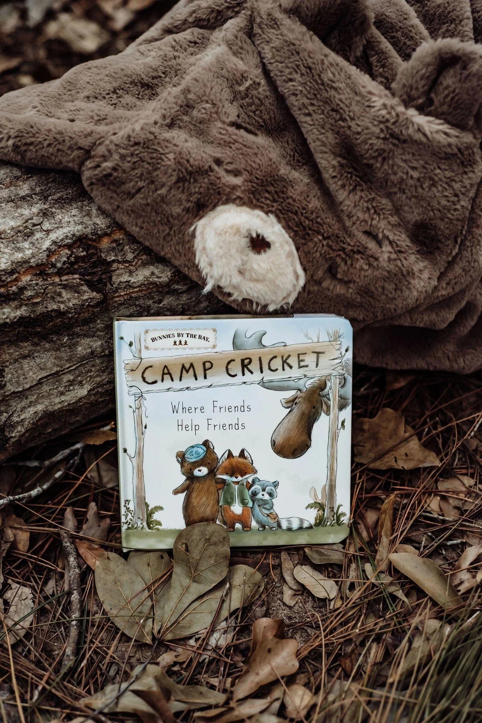 Bunnies By The Bay Book Camp Cricket Board Book
