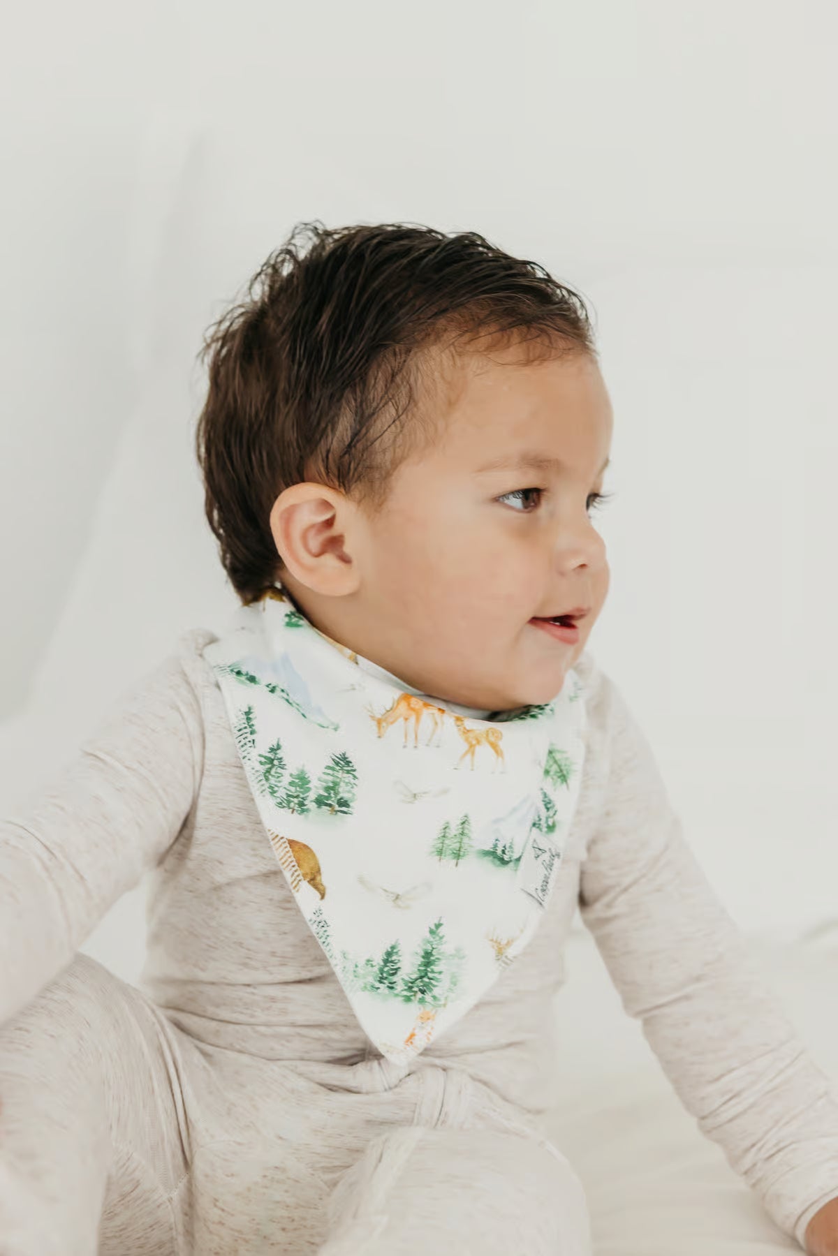 Copper Pearl Baby Grayson Bandana Bib Set (4-Pack)