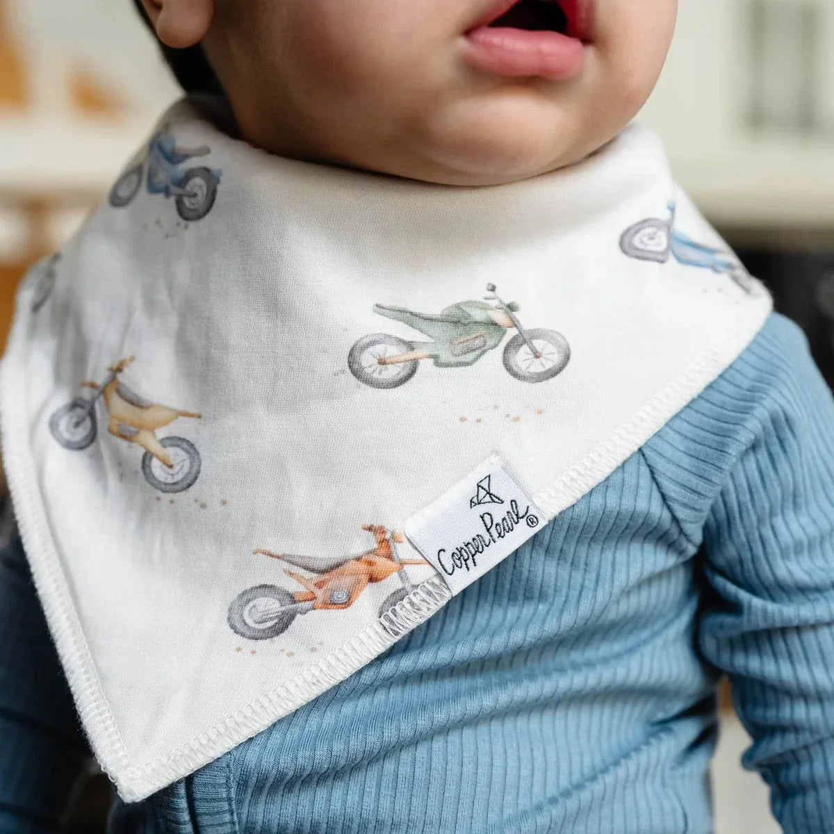 Copper Pearl Baby Ryder Bandana Bib Set (4-Pack)