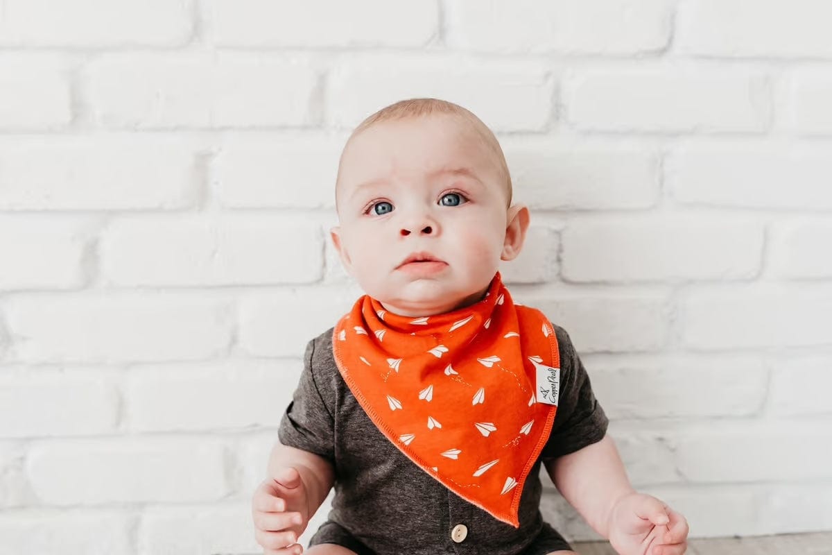 Copper Pearl Bib Ace Bandana Bib Set (4-Pack)