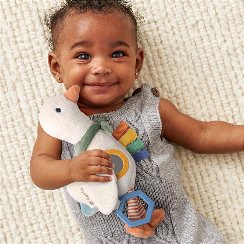 Itzy Ritzy Baby Bitzy Traveler™: Dinosaur
