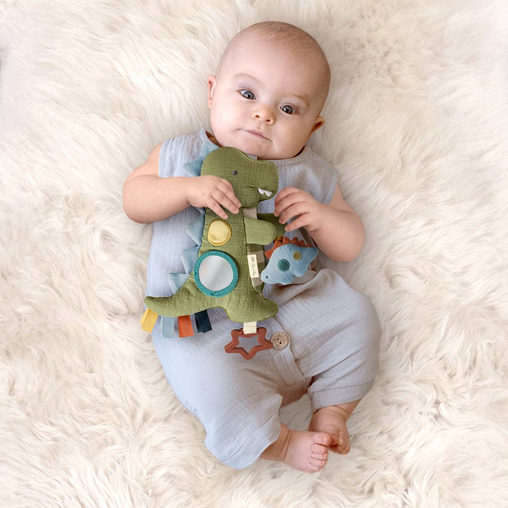 Itzy Ritzy Baby Bitzy Traveler™: Dinosaur