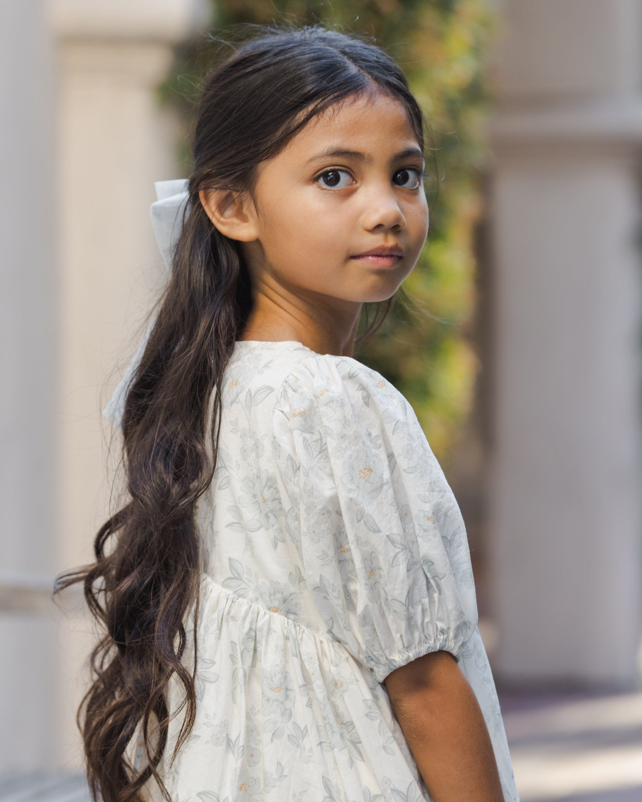 Noralee Luna Dress | Mist English Rose