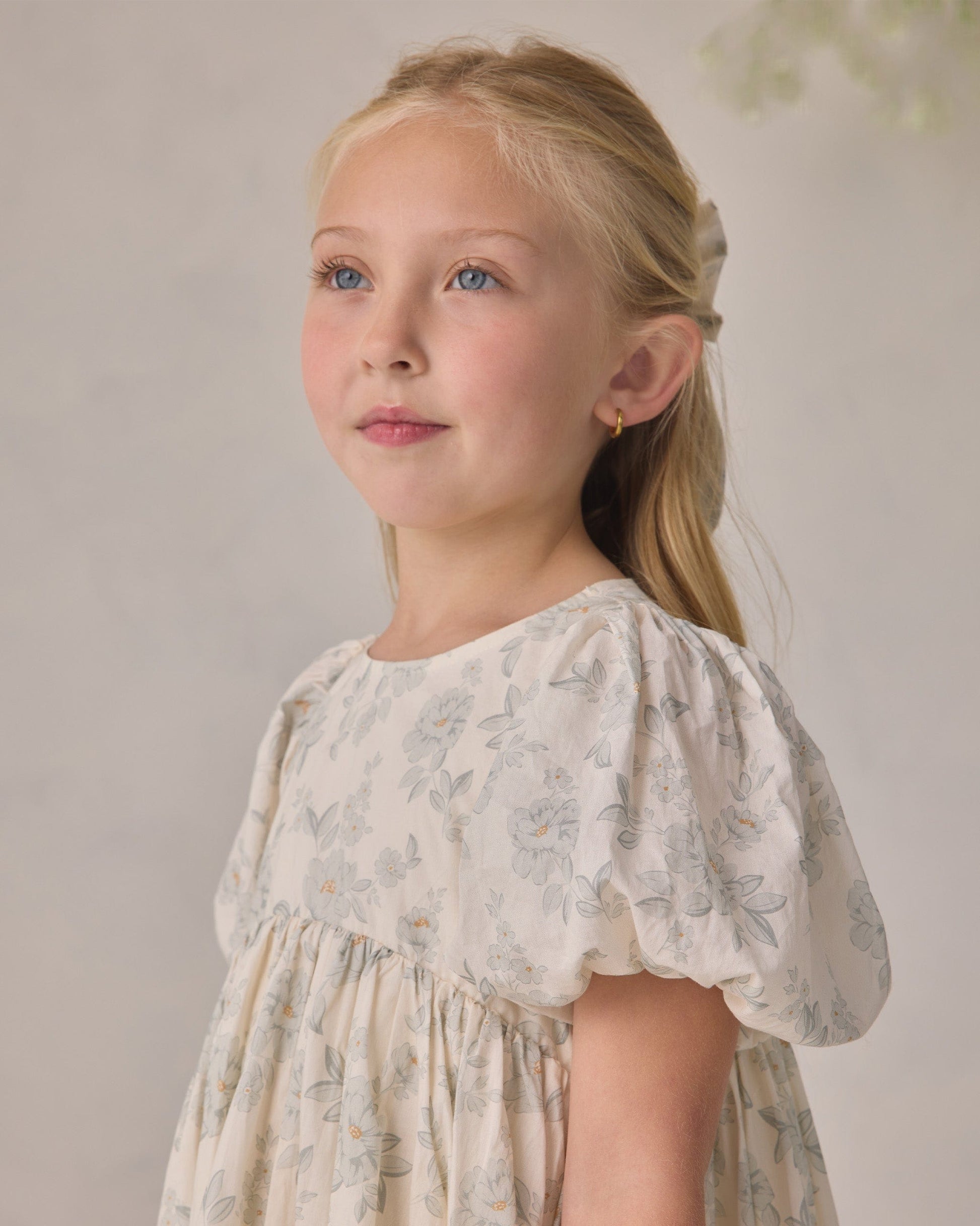 Noralee Luna Dress | Mist English Rose