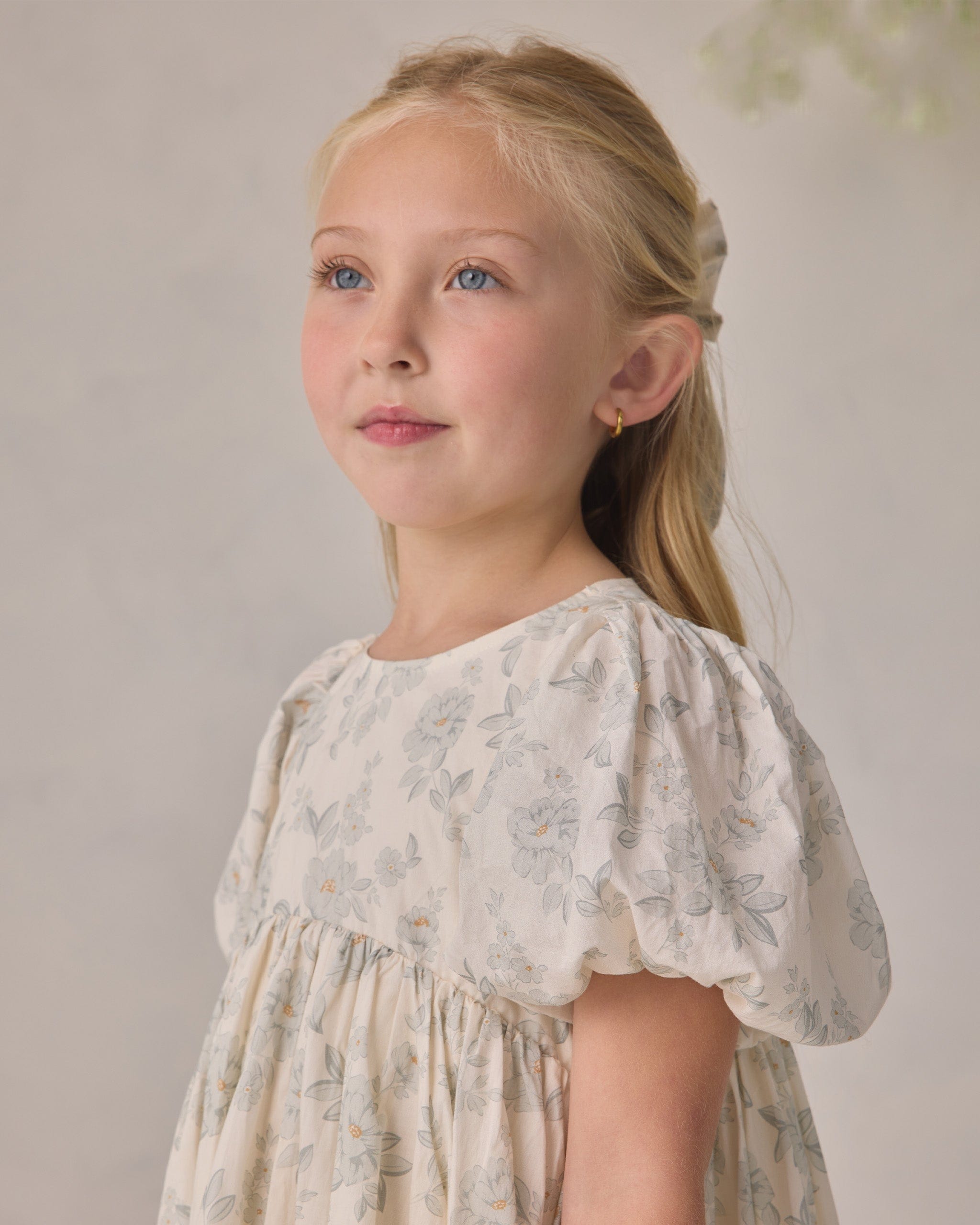 Noralee Luna Dress | Mist English Rose