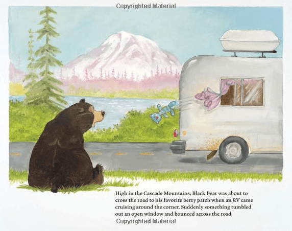 Penguin Random House Book Three Bears of the Pacific Northwest